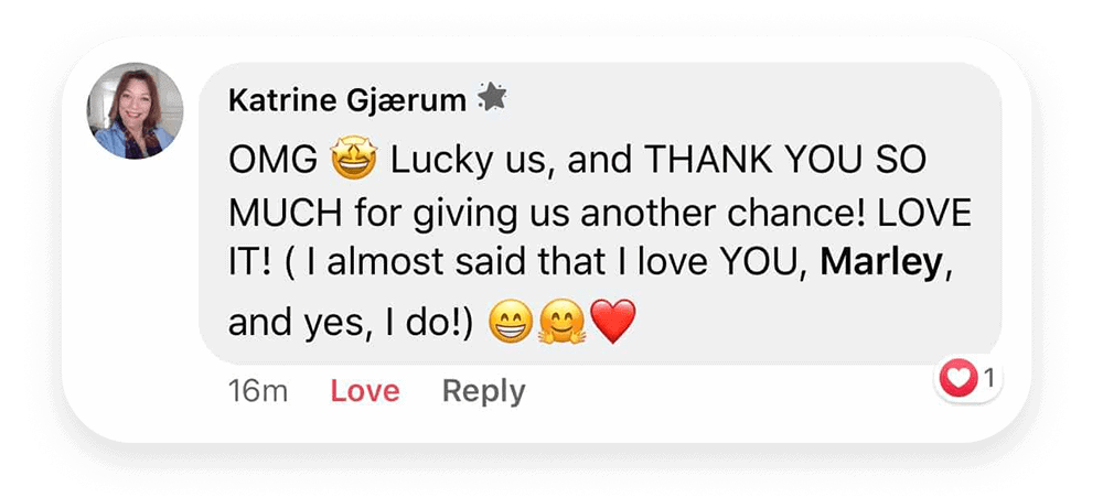 testi20-results testi20-results